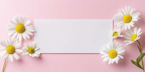 White rectangular frame on soft pink background surrounded by fresh white daisies with yellow centers creating a cheerful flat lay composition
