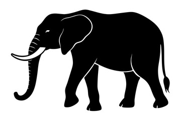 Obraz premium Elephant silhouette