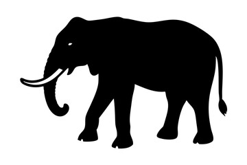 Fototapeta premium Elephant silhouette