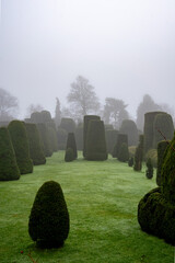 Topiary in the morning mist