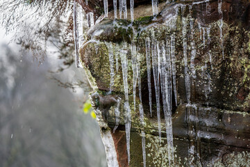 Icicles on a lichen rock