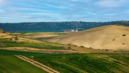 Obraz premium Matera province: spring countryside landscape 