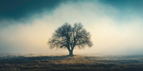 Lonely silhouette of a tall tree in a misty landscape with soft gradient colors of blue and beige fading into the horizon at dawn.