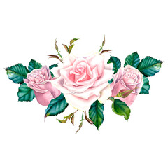 Naklejka premium Watercolor rose flower in pastel pink colors with green leaves. Hand drawn floral illustration for wedding invitations or greeting cards on isolated background. Botanical composition of blooming plant