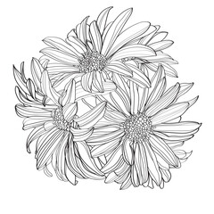 black and white flowers