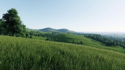 Fototapeta premium Serene Rolling Hills Landscape