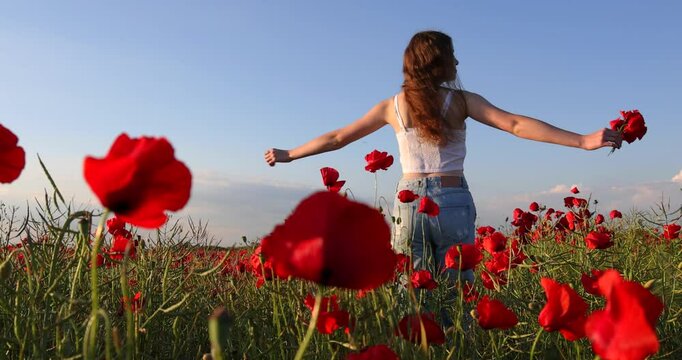 Beautiful young girl is spinning around, picking flowers and enjoying in flower poppy field, slow motion. Beauty in nature, rural landscape with blue sky, lots of red flowers in meadow. Low angle view