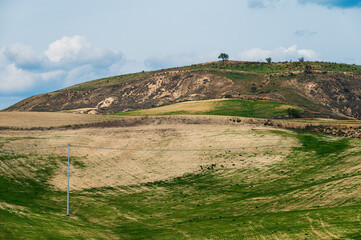 Matera province: spring countryside landscape 