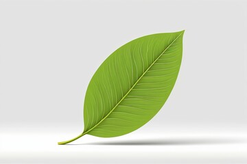 Obraz premium a close up of a green leaf on a white surface