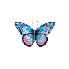 Obraz premium Blue Morpho Butterfly: A vibrant blue morpho butterfly with delicate pink and white accents, its wings exquisitely detailed, displayed against a clean backdrop.