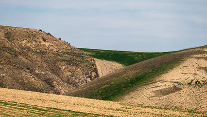 Fototapeta premium Matera province: spring countryside landscape 