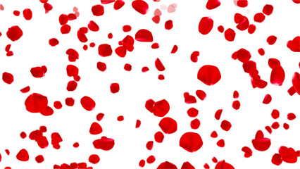  realistic red rose petals falling on transparent background,png romantic flower rain, valentine love and marriage isolated design element