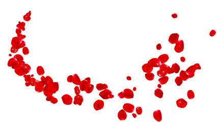realistic red rose petals trail isolated on transparent background,png romantic valentine love and marriage design element	