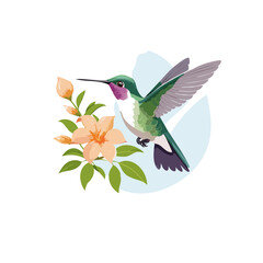 Naklejka premium hummingbird and flowers vector transparent background design clip art