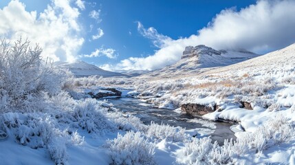 Winter landscape with snow-covered vegetation and a flowing river under a blue sky