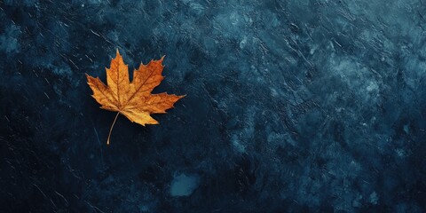 Autumn scene with a vibrant dry maple leaf in warm orange color floating on a dark blue textured background top view evoking fall serenity