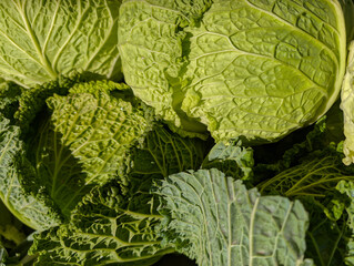 cabbage, vegetables, natural, tasty, autumn, stall, beautiful, f