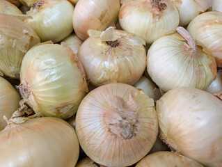 onions, vegetables, natural, tasty, autumn, stall, beautiful, fo