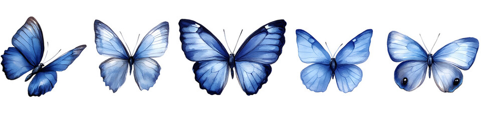Blue Butterflies Watercolor Collection Isolated on White Background