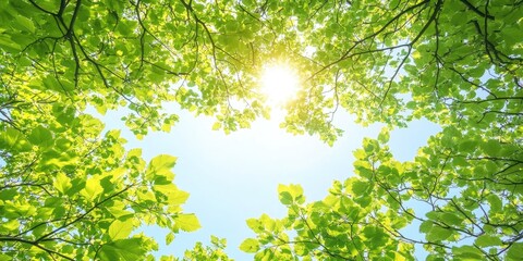 Fototapeta premium Vibrant green tree branches framing a bright sun against a clear blue sky from a low-angle perspective illustrating carbon neutrality concept