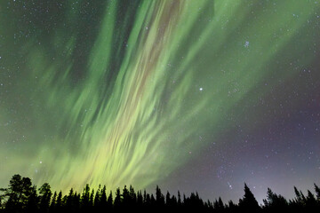 Fototapeta premium Polarlichter in Finnland