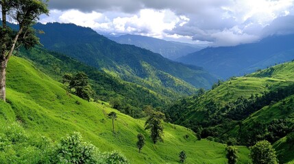 Fototapeta premium Lush Green Mountain Valley Landscape
