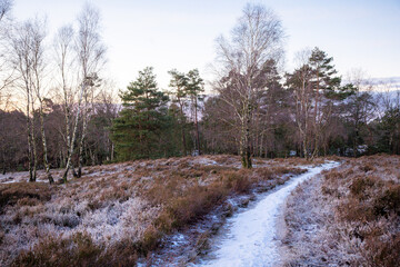 Heideweg schneebedeckt  