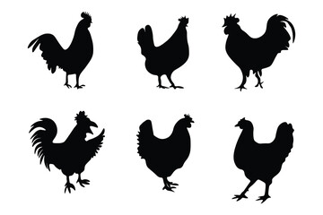 Black Murgi   silhouette        