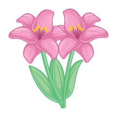 Three pink lilies isolated on a white background. Vector illustration.