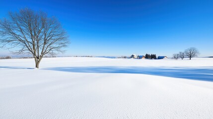 Peaceful Winter Landscape