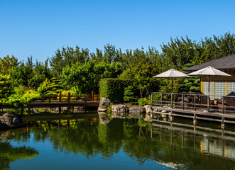Obraz premium Japanese garden with pond and rocks on a summer day.