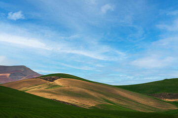 Matera province: spring countryside landscape 