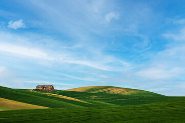 Matera province: spring countryside landscape 