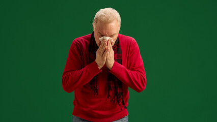 Elderly man in red sweater and scarf sneezing, suffering from cold and flu symptoms on green studio...