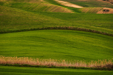 Matera province: spring countryside landscape 