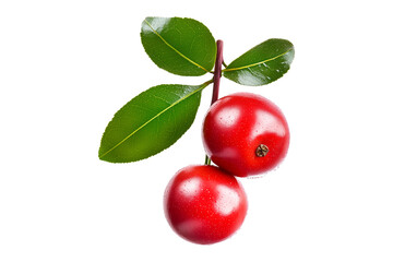 Fresh red guava berries or camu camu with green leaves isolated on white transparent background. Concept of healthy food.