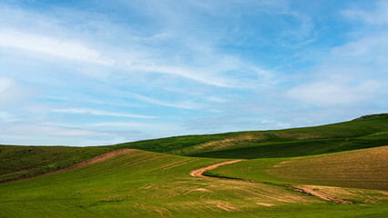 Matera province: spring countryside landscape 