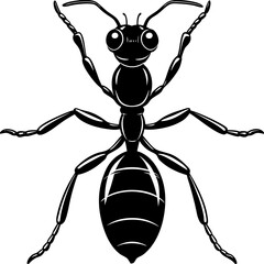 illustration of a ant