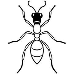 illustration of a ant