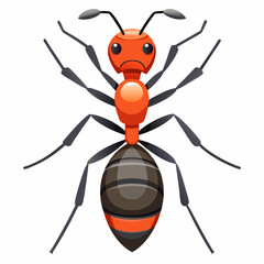 illustration of a ant on white background