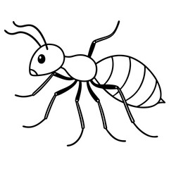 illustration of a ant