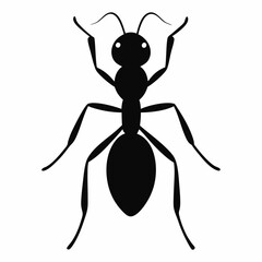 illustration of a ant