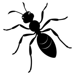 illustration of a ant