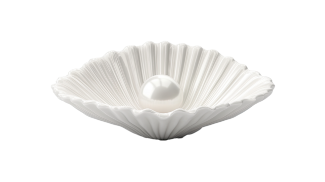 3d White Shell with pearl isolated on white transparent background