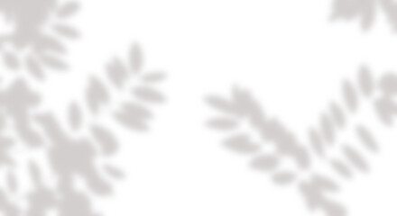 Tropical leaf Sunlight shadow png