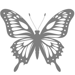 Butterfly silhouette illustration 