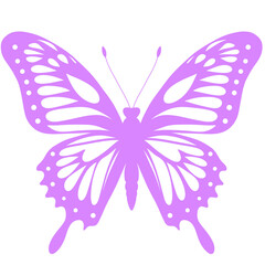 Butterfly silhouette illustration 