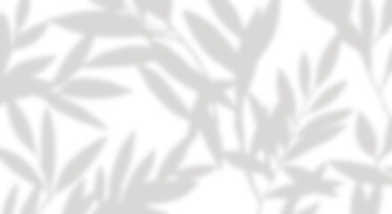 Tropical leaf Sunlight shadow png