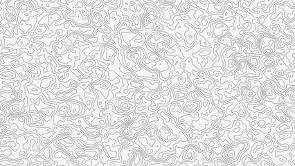 Topographic map. Geographic mountain relief. Abstract lines background. Contour maps. Vector illustration, Modern design with White background with topographic wavy pattern. 