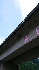 1964)Request for removal of Japanese yellow hornet nest from railway bridge(Photo taken at 15:25 on august 8, 2017)